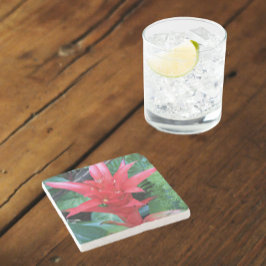 レッドグズマニアブロムリアドフローラ ストーンコースター