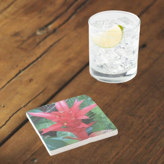 レッドグズマニアブロムリアドフローラ ストーンコースター