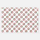 レッドグリーンバレーボールチームお祝い誕生日 ラッピングペーパーシート (正面3)