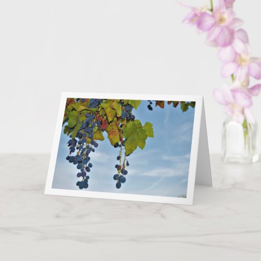 レッドグレープつる植物インブルースカイ カード (蘭)