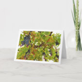 レッドグレープつる植物ポートレート カード (正面)