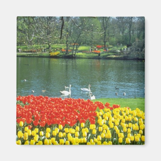 レッドケウケンホフ庭園、オランダの花 マグネット (正面)