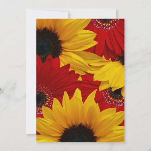 レッドゲルベラデイジーひまわり結婚式招待状 招待状 (裏面)