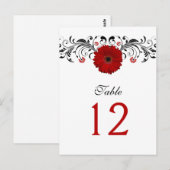 レッドゲルベラデイジーテーブル番号カード ポストカード (正面/裏面)