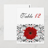 レッドゲルベラデイジーテーブル番号カード ポストカード (正面/裏面)