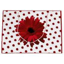 レッドゲルベラデイジーマザーズデイ