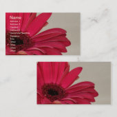 レッドゲルベラデイジー名刺 名刺 (正面/裏面)