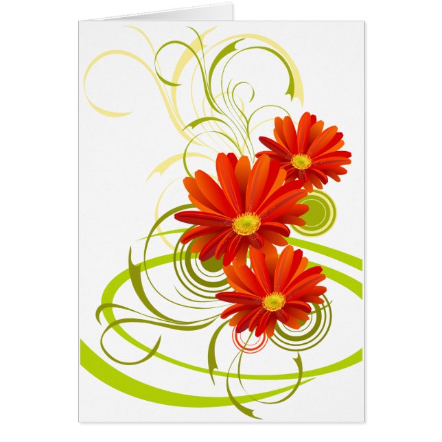 レッドゲルベラデイジー (正面)