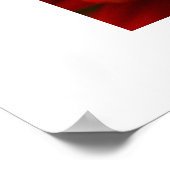 レッドゲルベラデイジー ポスター (角)