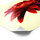 レッドゲルベラフラワーフォトプリント フォトプリント            (角)