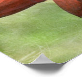 レッドゲルベラ ポスター (角)