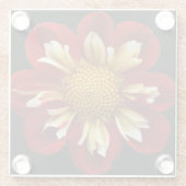 レッドコレットダリアオンブラックフローラ ガラスコースター (裏面)