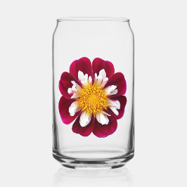 レッドコレットダリア開花 ガラス缶