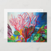レッドコーラルリーフ海アート ポストカード (正面/裏面)