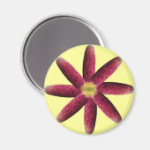 レッドコーンパターン マグネット (正面/裏面)