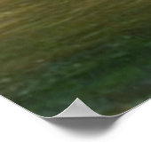 レッドゴールデンランニングレトリバーのウォーターポスター ポスター (角)