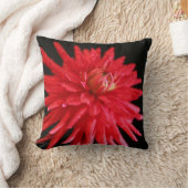 レッドサボスダリア クッション (ブランケット)