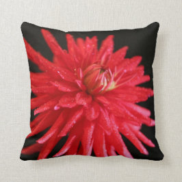 レッドサボスダリア クッション
