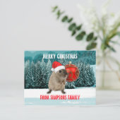 レッドサンおもしろいタハットのクリスマスハムスター シーズンポストカード (スタンド正面)