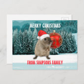 レッドサンおもしろいタハットのクリスマスハムスター シーズンポストカード (正面/裏面)