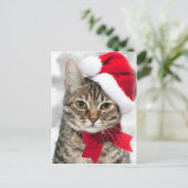レッドサンタの帽子のクリスマスキャット シーズンポストカード (スタンド正面)