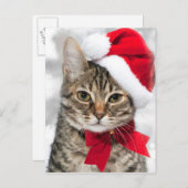 レッドサンタの帽子のクリスマスキャット シーズンポストカード (正面/裏面)