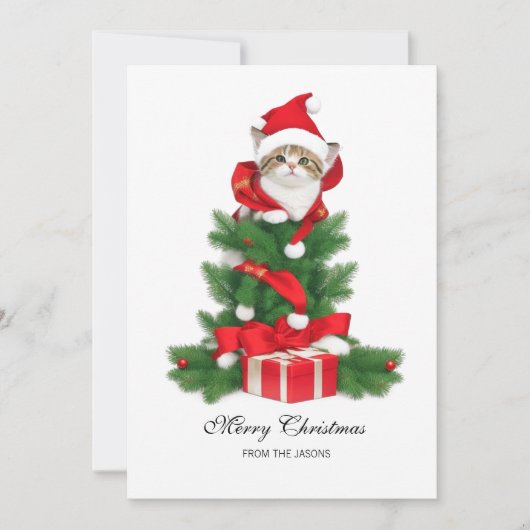 レッドサンタハットのクリスマスで可愛いパーソナライズされた猫 シーズンカード (正面)