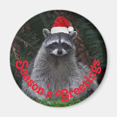 レッドサンタハットホリデーを着た可愛いアライグマ マグネット (正面)