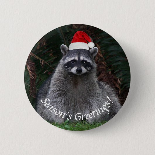 レッドサンタハットホリデーを着た可愛いアライグマ 缶バッジ (正面)