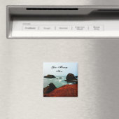 レッドサンダーロックコーブマグネット マグネット (インサイチュ (食洗機))