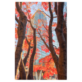 レッドシティー メタルプリント