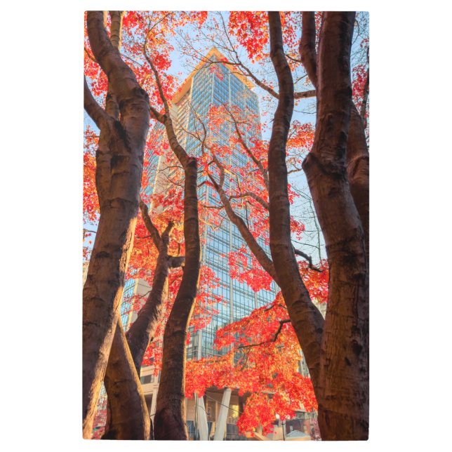 レッドシティー メタルプリント (正面)