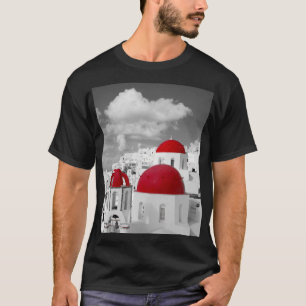 レッドシティー Tシャツ