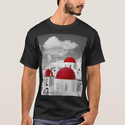 レッドシティー Tシャツ (正面)