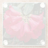 レッドシャクナドロン開花ズフローラグラスコースター ガラスコースター (裏面)