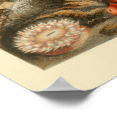 レッドシーアネモンカラーマリンアートプリント ポスター (角)