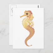 レッドシースタリオン ポストカード (正面/裏面)