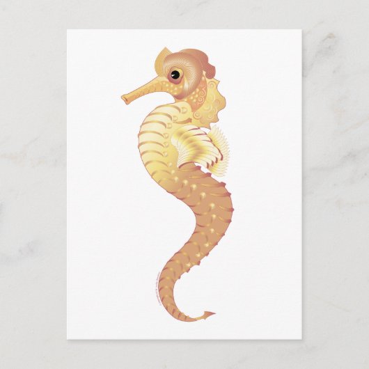 レッドシースタリオン ポストカード (正面)