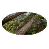 レッドシーダーツリー カッティングボード (角)