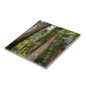 レッドシーダーツリー タイル (側面)