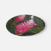 レッドジンジャー紙プレート ペーパープレート (アングル)