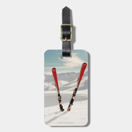レッドスキー ラゲッジタグ (正面縦)