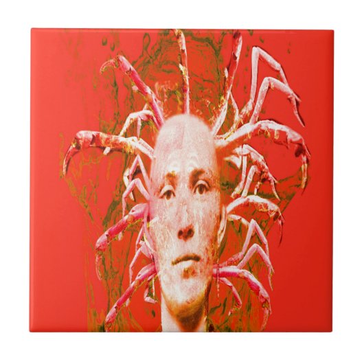 レッドスコーピオン タイル (正面)