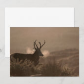 レッドスタグズ招待状 招待状 (正面/裏面)