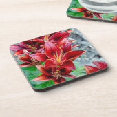 レッドスターガーザーリリー コースター (左側)