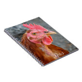 レッドスターチキンヘンの写真 ノートブック (右側)