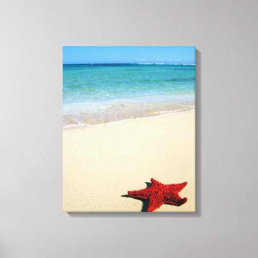 レッドスターフィッシュオンホワイトサンドビーチ キャンバスプリント (正面)