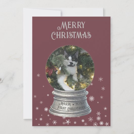 レッドスノーグローブスノーフレークフォトフラットホリデーカード シーズンカード (正面)