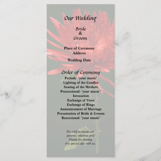 レッドスパイダーマム プログラム (正面)