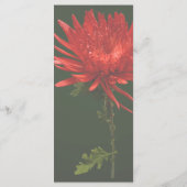 レッドスパイダーマム メニュー (裏面)